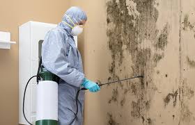 Best Mold Odor Removal Services  in Standish, MI